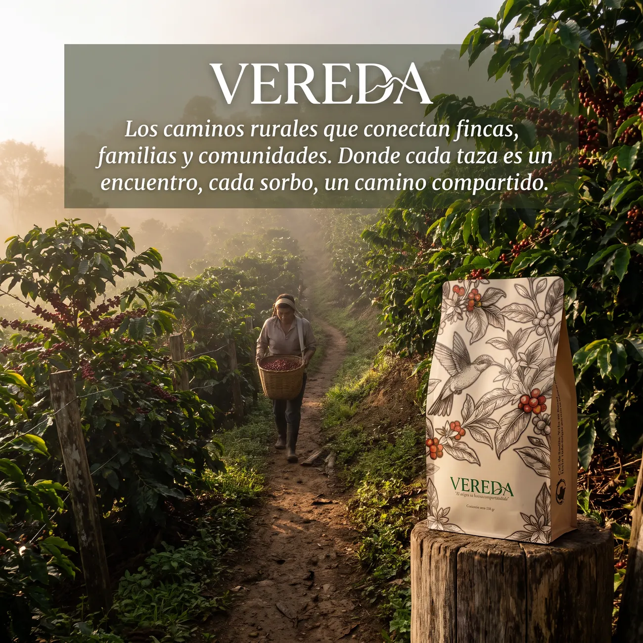 Caficultora caminando por un sendero entre cafetales al amanecer